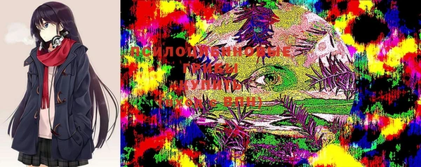 синтетический гашиш Горнозаводск