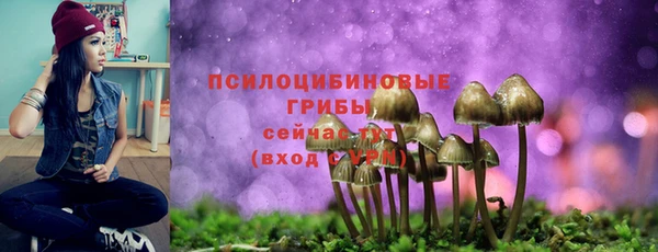 метадон Верея
