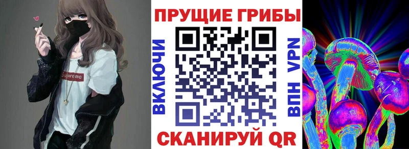 Галлюциногенные грибы мицелий  Купить  Магадан 